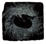 Sleeping Dryad